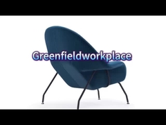 صندلی رحم ای 38